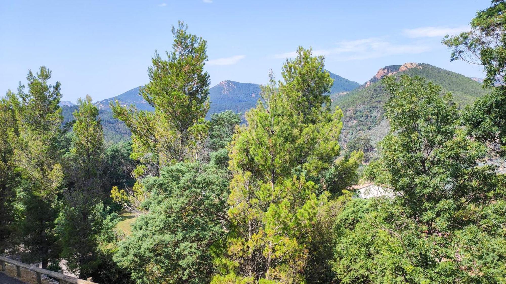 Victoria - Les Cles De L'Esterel Теуль-сюр-Мер Экстерьер фото